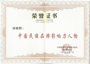 中國民族品牌影響力人